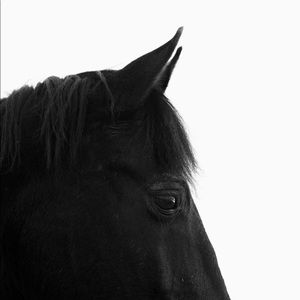 Meet your Posher, Zita